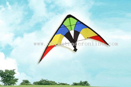 Stunt Kite-Two line control